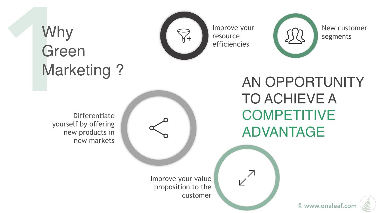 How to build a green digital marketing strategy On A Leaf